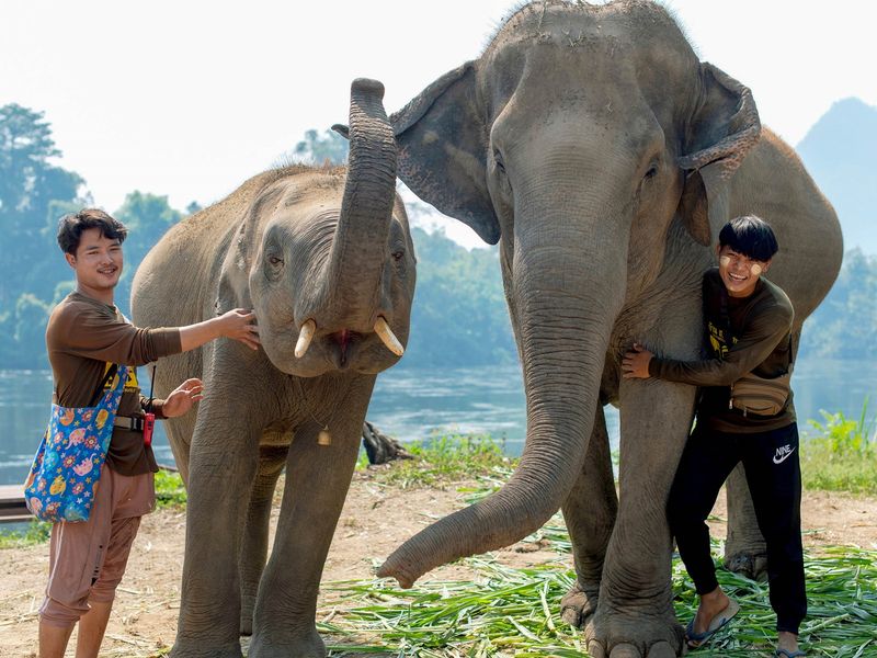 Elephant Sanctuary_1