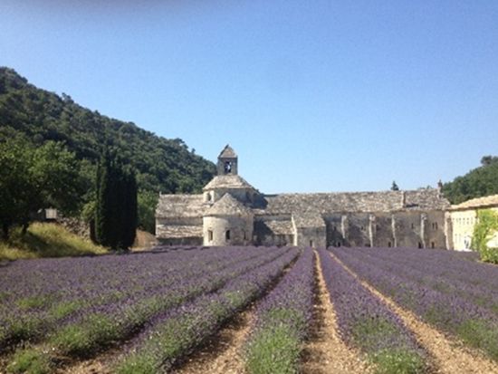 セナンク修道院ラベンダー畑＆美しい村巡り 1日観光ツアー　ゴルド＋ルシヨン 他＜6～7月／貸切／日本語ドライバー／マルセイユまたはエクス・アン・プロヴァンス発＞