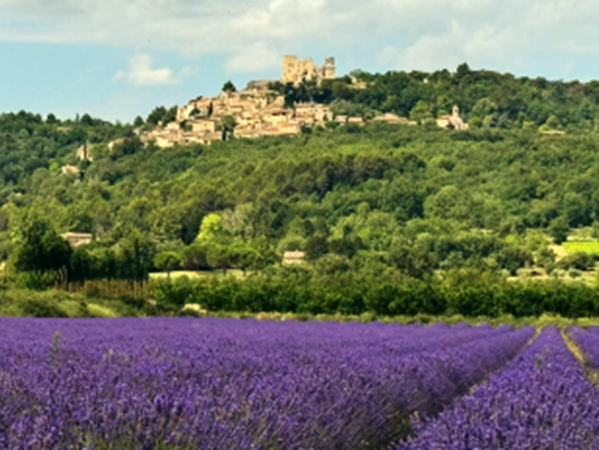 セナンク修道院ラベンダー畑＆美しい村巡り 1日観光ツアー　ゴルド＋ルシヨン 他＜6～7月／貸切／日本語ドライバー／マルセイユまたはエクス・アン・プロヴァンス発＞