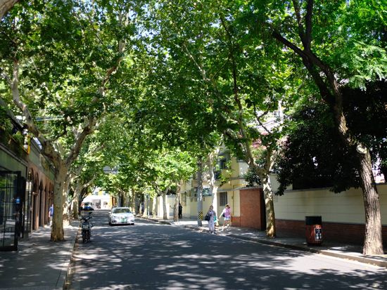 China_Shanghai_French Concession_pixta_45549812