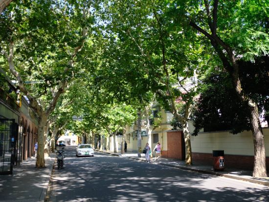 オープントップバス＆フェリーで行く！上海街歩きツアー＜日本語ガイド／焼小籠包ランチ付き／24h乗り降り自由バスチケット付き＞by H.I.S.