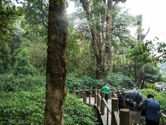 アンカ自然歩道1