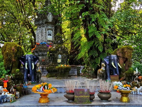 ドイ・インタノン国立公園2