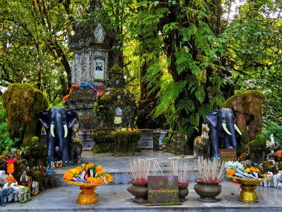 ドイ・インタノン国立公園日帰りツアー　タイ最高峰＆ツインパゴダ＆カレン族の村 ＜英語ガイド／チェンマイ発着＞