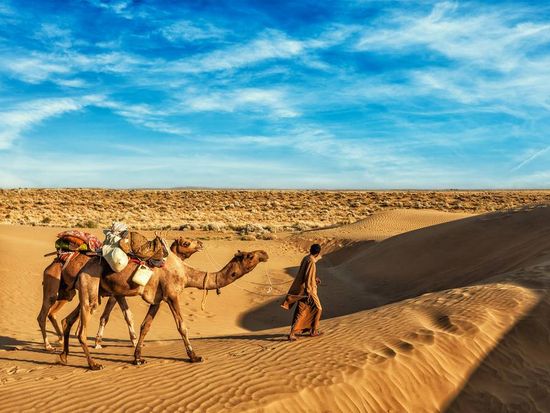 India_ Jaisalmer_Samsand dunes_Camel_shutterstock_297625955