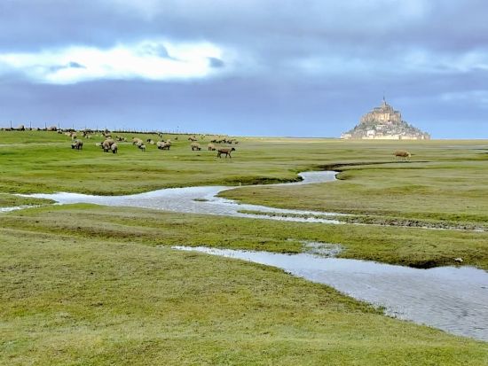世界遺産モンサンミッシェル　うねうね水路ツアー　絶景ルートを通って草原の水路へ ＜徒歩またはサイクリング／日本語アシスタント／現地集合・解散＞*前日まで予約OK