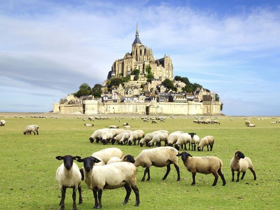 世界遺産モンサンミッシェル　うねうね水路ツアー　絶景ルートを通って草原の水路へ ＜徒歩またはサイクリング／日本語アシスタント／現地集合・解散＞*前日まで予約OK