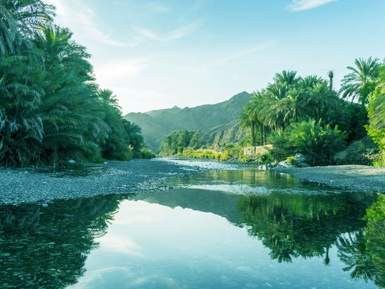 Wadi Bani Khalid in the morning, Oman - Pixabay