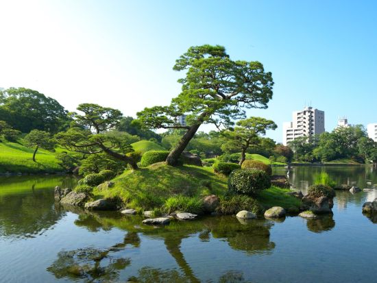 【八代港(くまモンポート八代)発着】貸切観光タクシー　熊本城＋水前寺公園＋阿蘇山中岳火口など＜約6時間＞ by 熊本タクシー