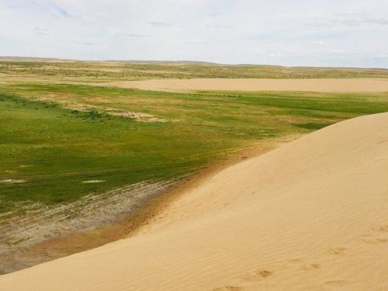 【3泊4日】寝台列車で巡る大草原！東ゴビ砂漠の自然を満喫＆ラクダ乗り体験＜食事付き／日本語ガイド／ウランバートル発＞