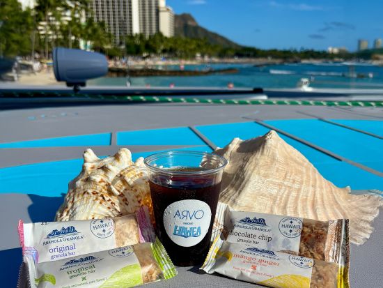 ウミガメシュノーケリング　ハウェア号　安定感抜群のカタマラン船で人気スポット、タートルキャニオンへ！ドリンク&スナック付き＜2.5時間／英語／ワイキキビーチ発＞