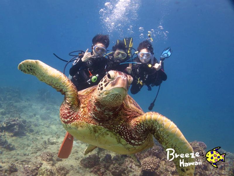 20240312061228_1396068607_16822_0-fotor-20250423194328 (2)