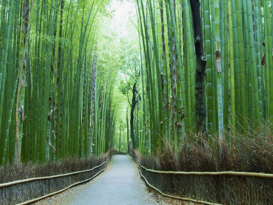 A2HIP_66d81320-1c99-4ad1-a733-75fce4eed52a