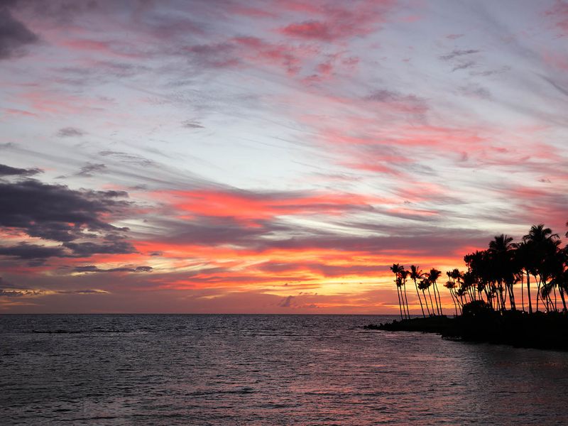 shutterstock_2009254157