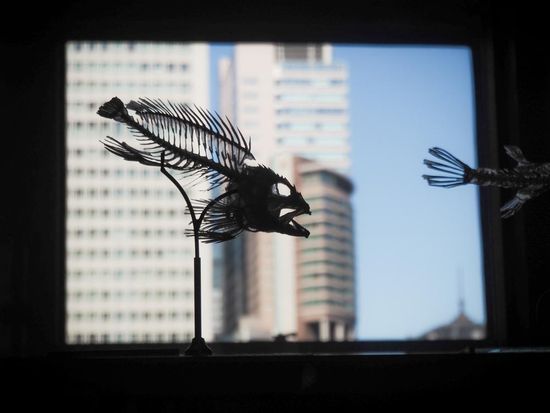 image_04