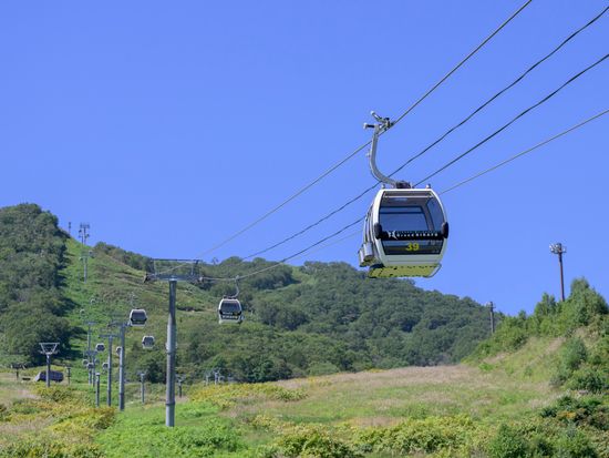 20240903_AJP__AZ97644