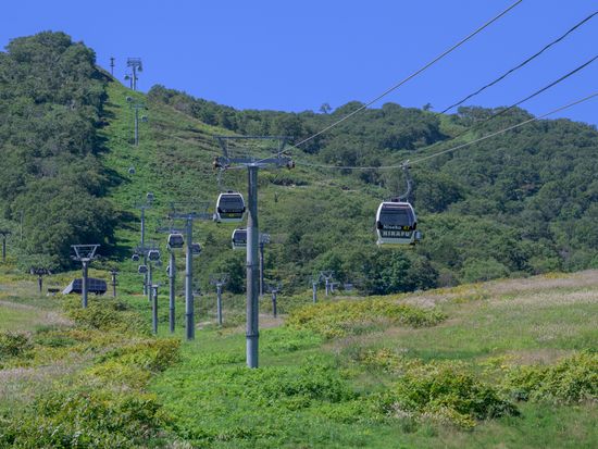 20240903_AJP__AZ97559