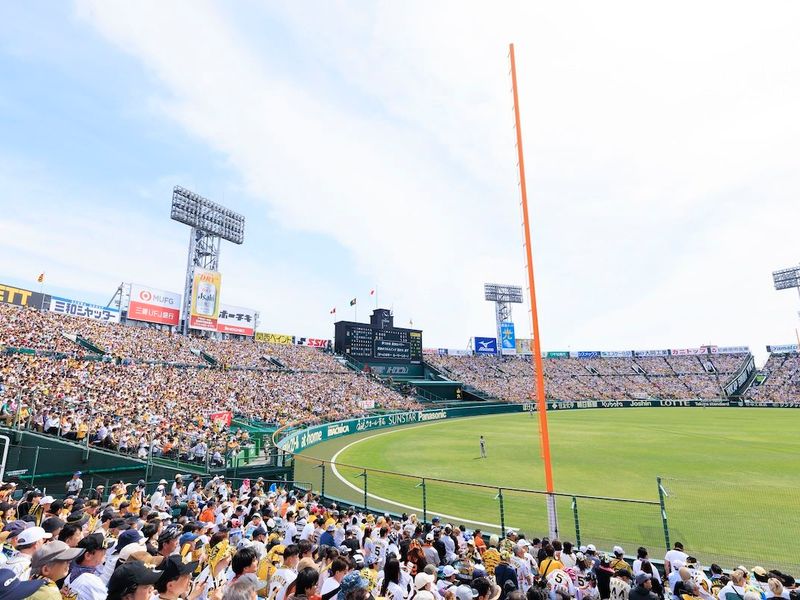 ZCMYQ_7000dbae-7d66-45db-a44d-e9b7d1c6be2a