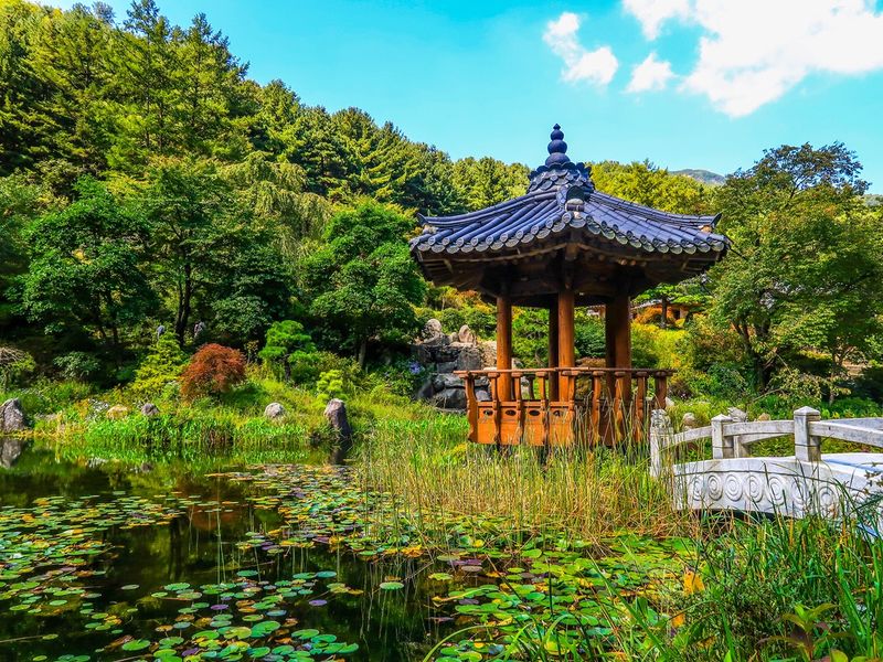 Korea_Gapyeong_Garden of Morning Calm_shutterstock_1487358335
