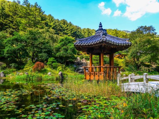 「オク氏夫人伝」ドラマロケ地巡りツアー　大長今パーク＋アチムコヨ樹木園＋ドラマ衣装でプリクラ撮影＜1日／ソウル発／昼食付＞