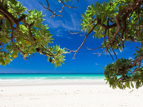 貸切観光タクシー　伊良部大橋&伊良部島＋下地島の絶景巡り！＜4時間／1～4名／宮古島内ホテル・空港送迎可／宮古島＞