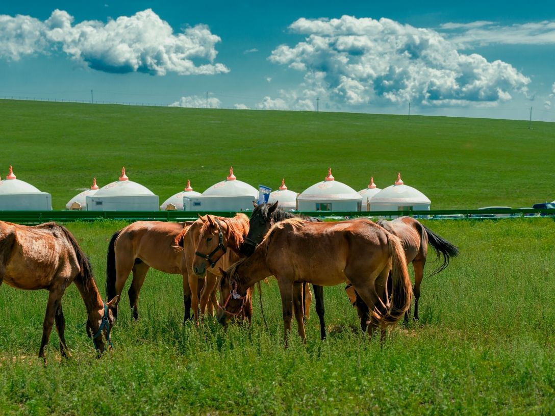 5～10月限定】内モンゴル2泊3日ツアー！シラムレン大草原＋クブチ砂漠