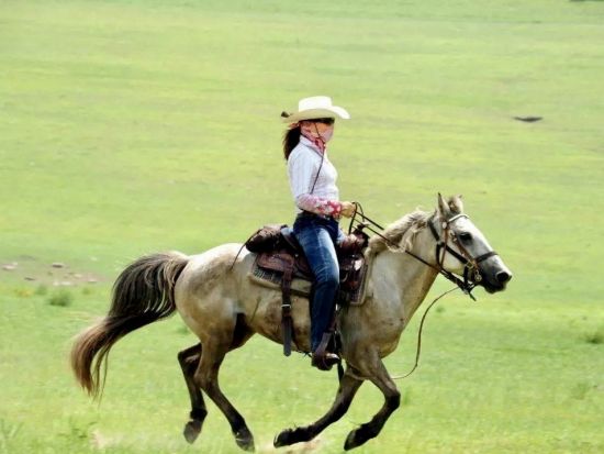 5～10月限定「夏の草原物語」週末でも行ける内モンゴル1泊2日ツアー※シラムレン大草原（ゲル宿泊・騎馬・野外ステージ・詐馬宴）＋フフホト観光（大召寺・博物館）