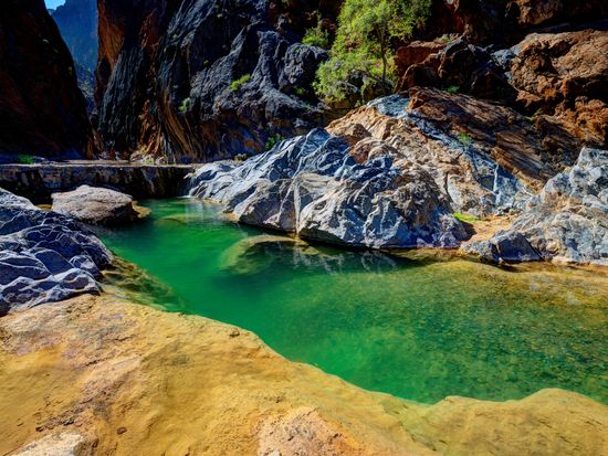 shutterstock_1681484905