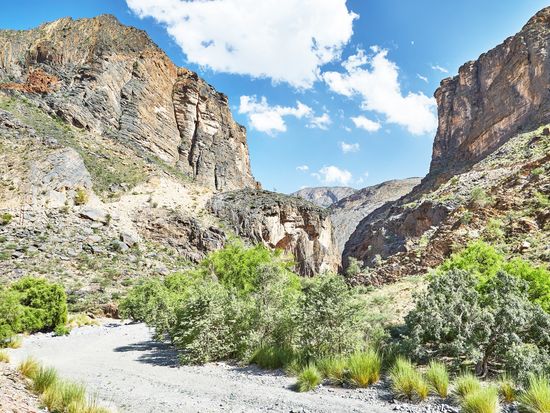 shutterstock_2540618301