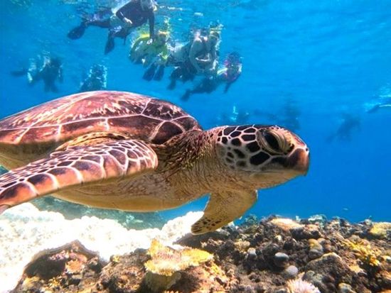 青の洞窟変更③