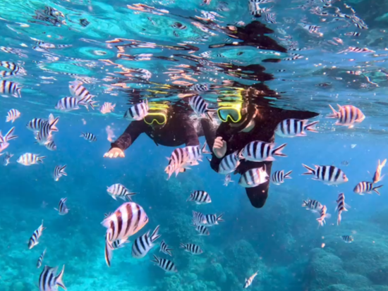 青の洞窟と星砂＋高遭遇率ウミガメシュノーケリング！ 少人数制＆初心者＆3歳～＆1名可！写真＋4K動画・器材・送迎無料＜当日予約13時まで／1日4便／竹富格安券＞