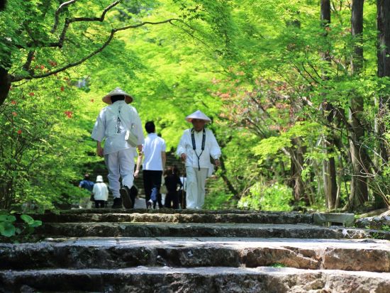 歩き遍路と藍染め体験 阿波の文化にふれる旅　専門の巡礼ガイド（公認先達）同行　＜徳島駅発＞