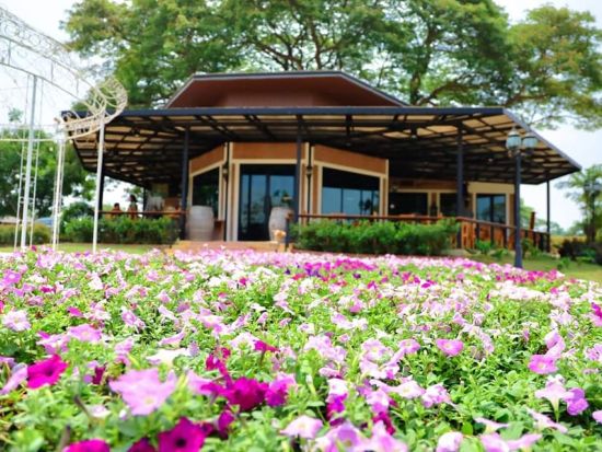 アユタヤフォトジェニックツアー　バンパイン宮殿＋ワット・マハタート＋サラ・アユタヤ＆絶景カフェ巡り＜日本語ガイド／ジョッドフェアーズ・ナイトマーケット解散＞