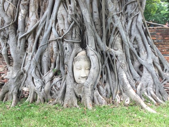 ワット・マハタート (2)