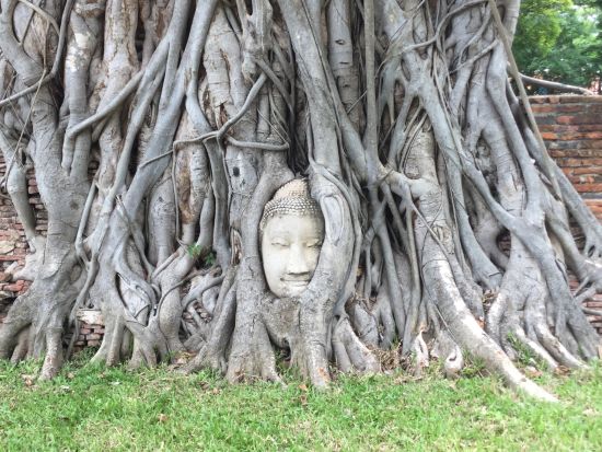 アユタヤフォトジェニックツアー　バンパイン宮殿＋ワット・マハタート＋サラ・アユタヤ＆絶景カフェ巡り＜日本語ガイド／ジョッドフェアーズ・ナイトマーケット解散＞