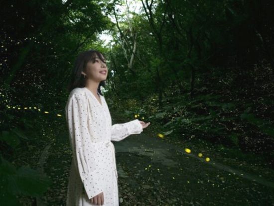 【3～5月限定】ヤエヤマヒメボタル鑑賞ツアー 西表島の夜を彩る神秘的な光のショーを堪能！ ＜上原地区ホテル送迎可／西表島＞