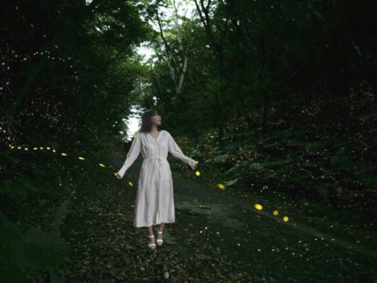 【3～5月限定】ヤエヤマヒメボタル鑑賞ツアー 西表島の夜を彩る神秘的な光のショーを堪能！ ＜上原地区ホテル送迎可／西表島＞