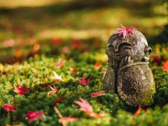 shutterstock_1075479164