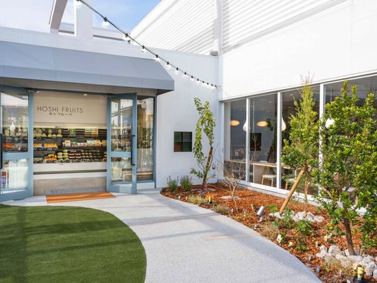 10382047-021_ホシフルーツ父の日　ナッツとドライフルーツの贅沢ブラウニー１２個_HF_ブラウニー12_父_S (3) (1)