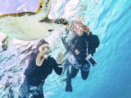 ウミガメシュノーケリング 高確率でウミガメに遭遇！初心者＆ファミリー歓迎 宮古ブルーの海で家族と楽しむマリンアクティビティ体験＜1.5時間／写真無料／宮古島＞