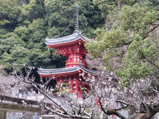 四国お遍路と藍染め体験 阿波の文化にふれる旅 ＜貸切タクシー利用／専門の巡礼ガイド（公認先達）同行／最大8名様／徳島駅発＞