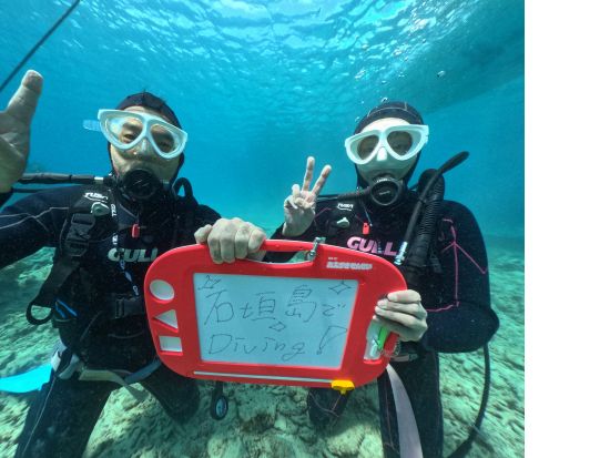 【石垣島/1日】幻の島上陸＋石西礁湖体験ダイビング＋ウミガメシュノーケリング〈今だけ！GoProレンタル無料〉☆初心者専門店☆