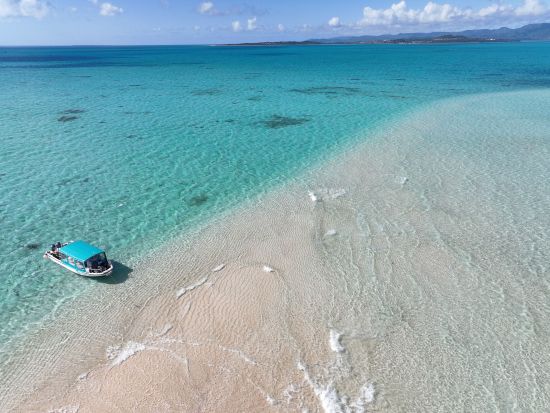 【石垣島/1日】幻の島上陸＋石西礁湖体験ダイビング＋ウミガメシュノーケリング〈今だけ！GoProレンタル無料〉☆初心者専門店☆