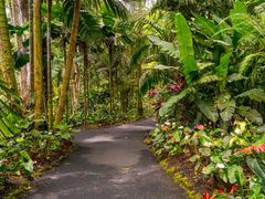 shutterstock_2604696171