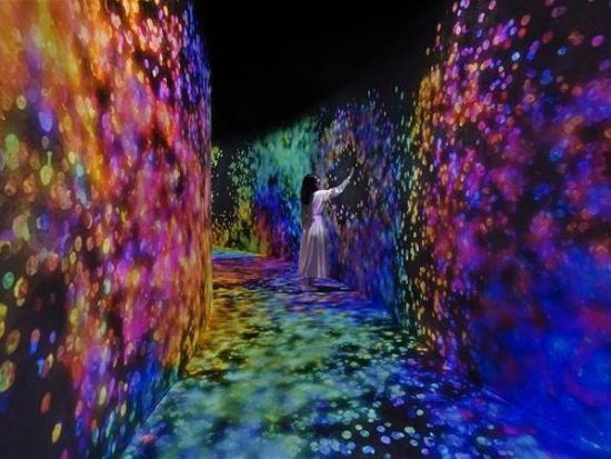 【プレミアム・アブダビ】アートスポット満喫！話題のteamLab Phenomena＋ルーブル・アブダビ＋カスル・アル・ワタン＜貸切／日本語ガイド／ドバイ発＞