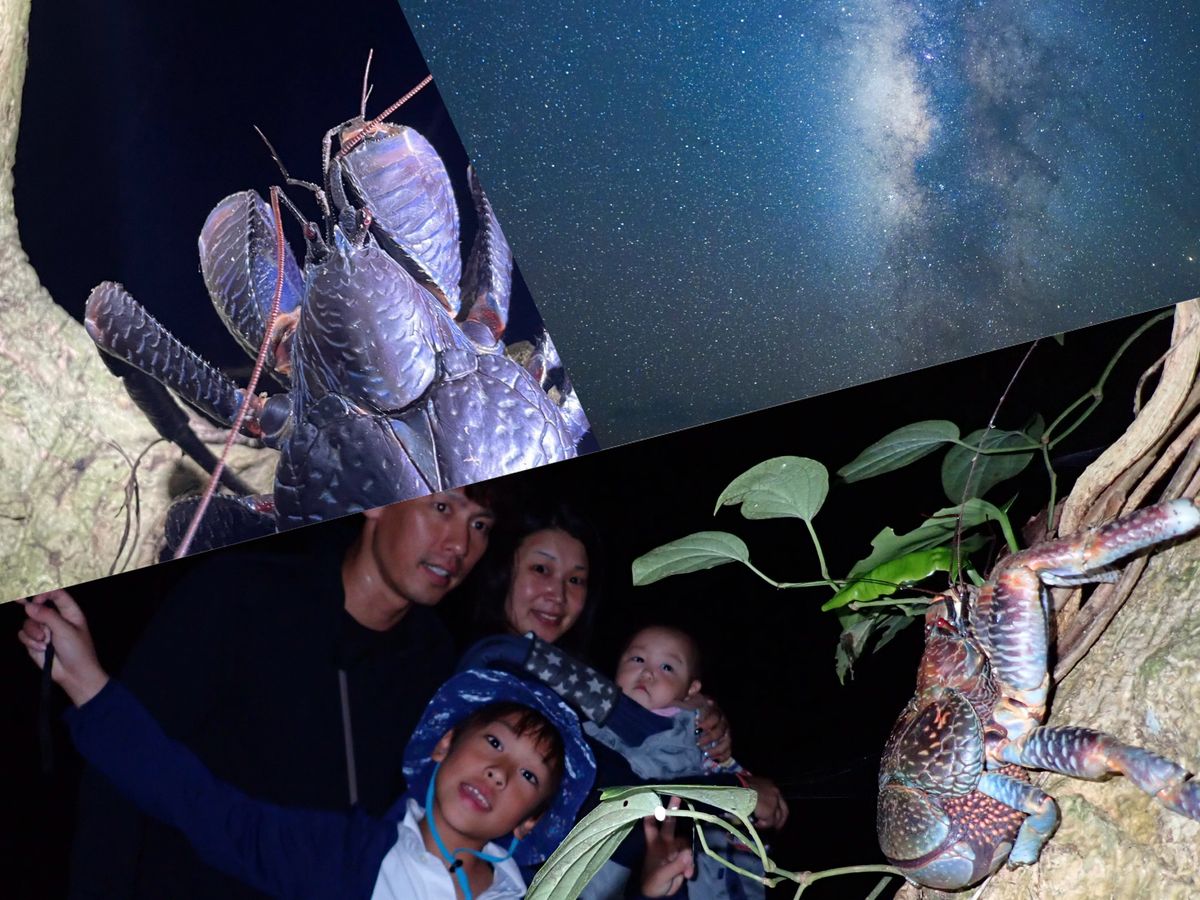 宮古島ナイトツアー 満天の星空とたくさんの動物を見つけに行こう 年齢