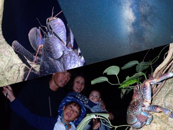 宮古島ナイトツアー 満天の星空とたくさんの動物を見つけに行こう 年齢制限なしで小さなお子様からシニアまで大歓迎＜約1時間／宮古島＞