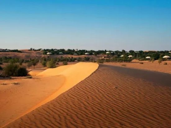 20240829072011_2068074309_17151_0