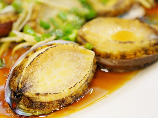 Abalone 2