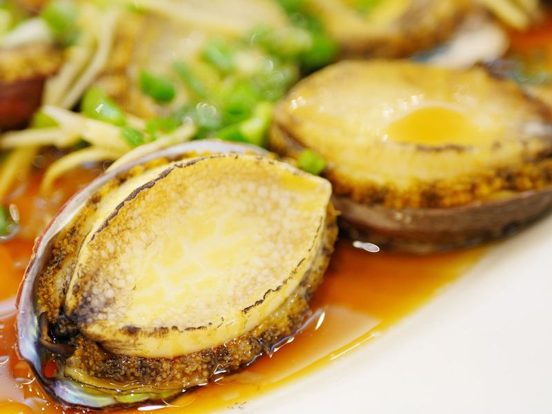 Abalone 2